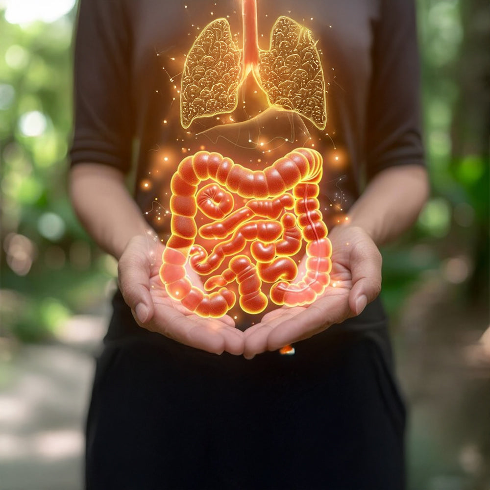 4 reasons that are responsible for most Gut Health issues people face in 2024