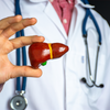 Fatty Liver Disease