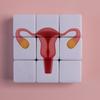 PCOS & PCOD
